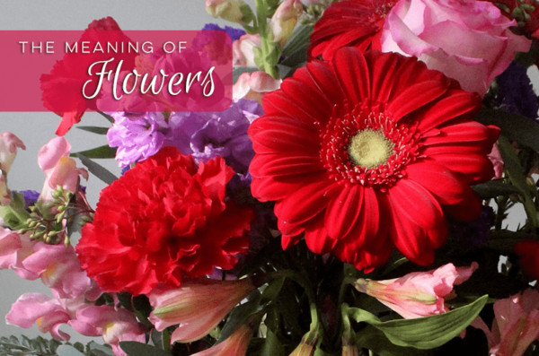 Meaning Of Flowers Your Valentine S Day Guide Studley S Flower Gardens