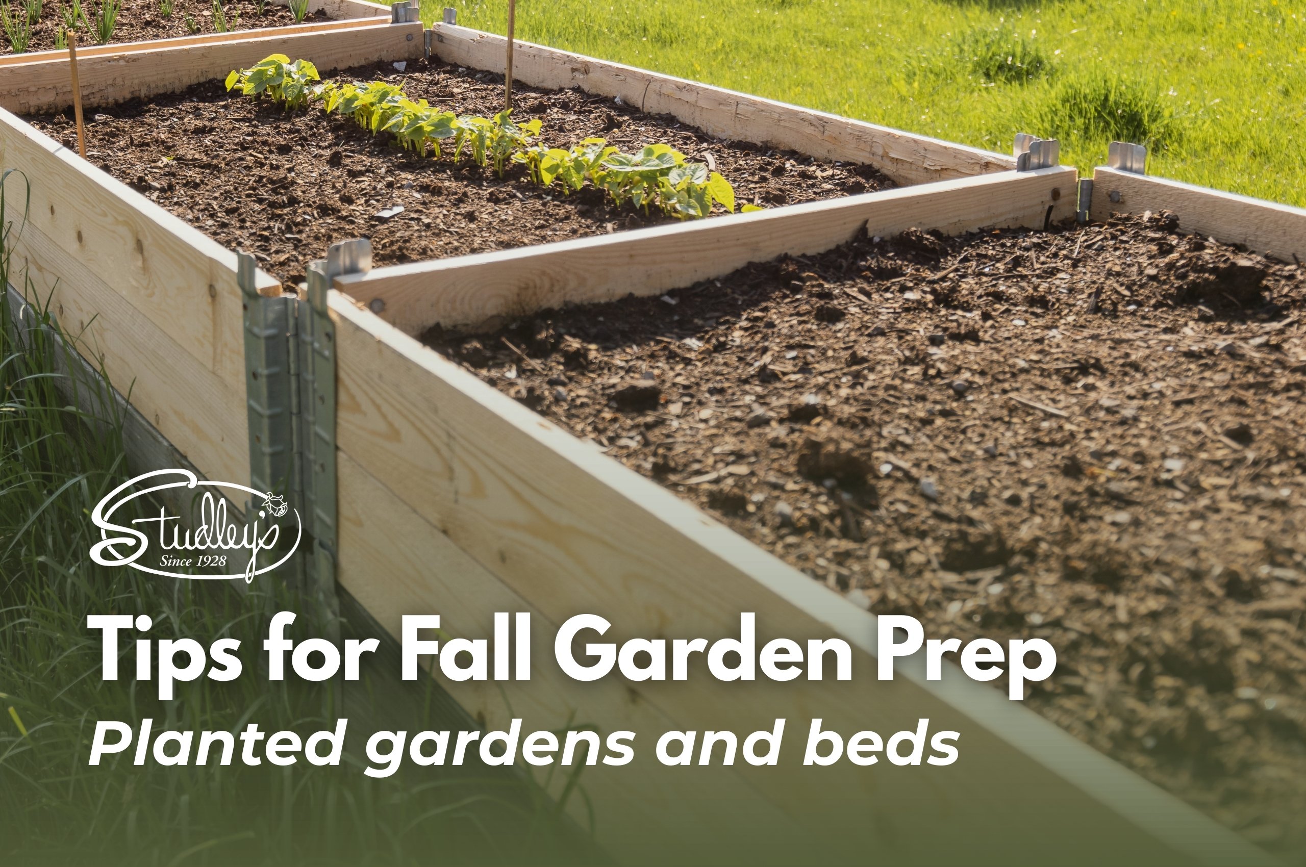 Prepare Your Garden for Fall - Gardens and Beds