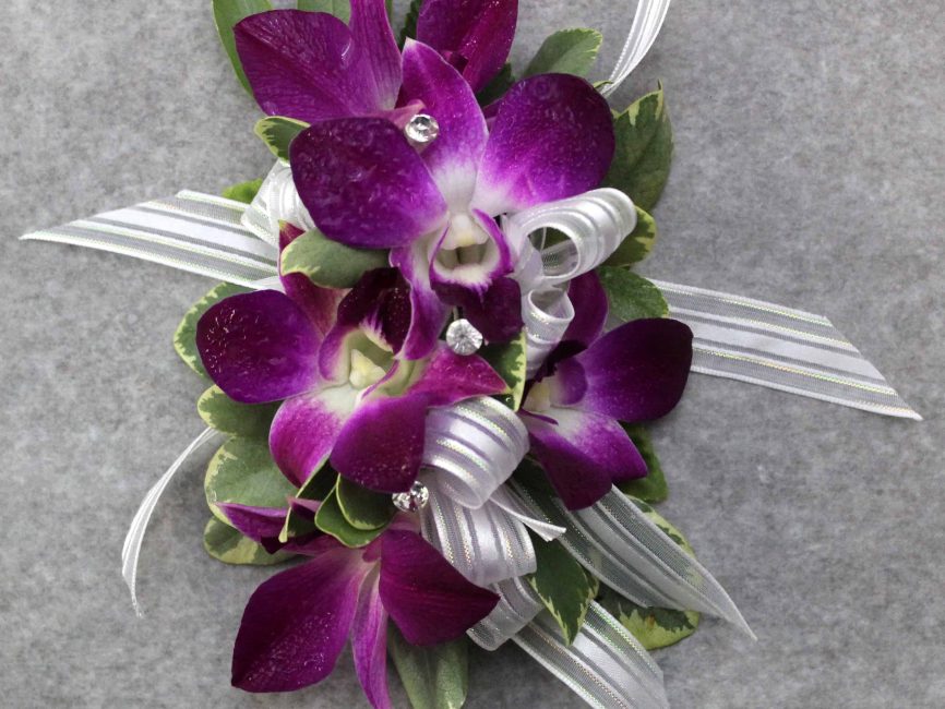 Blush Rush Corsage by Studley's