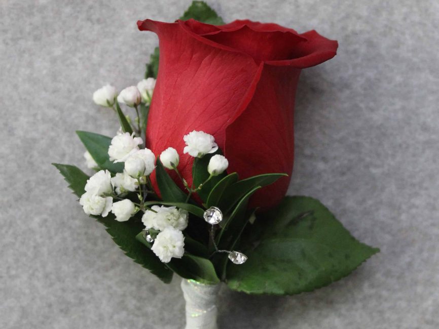 Bold Rose Boutonniere by Studley's