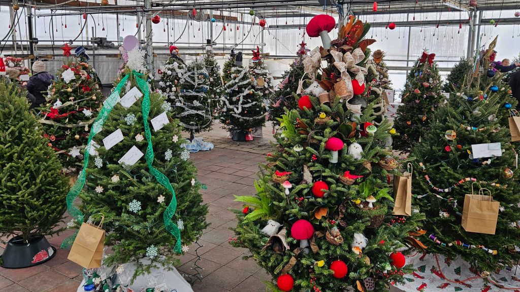 Studley Flower Gardens hosts 10th annual Festival of Trees