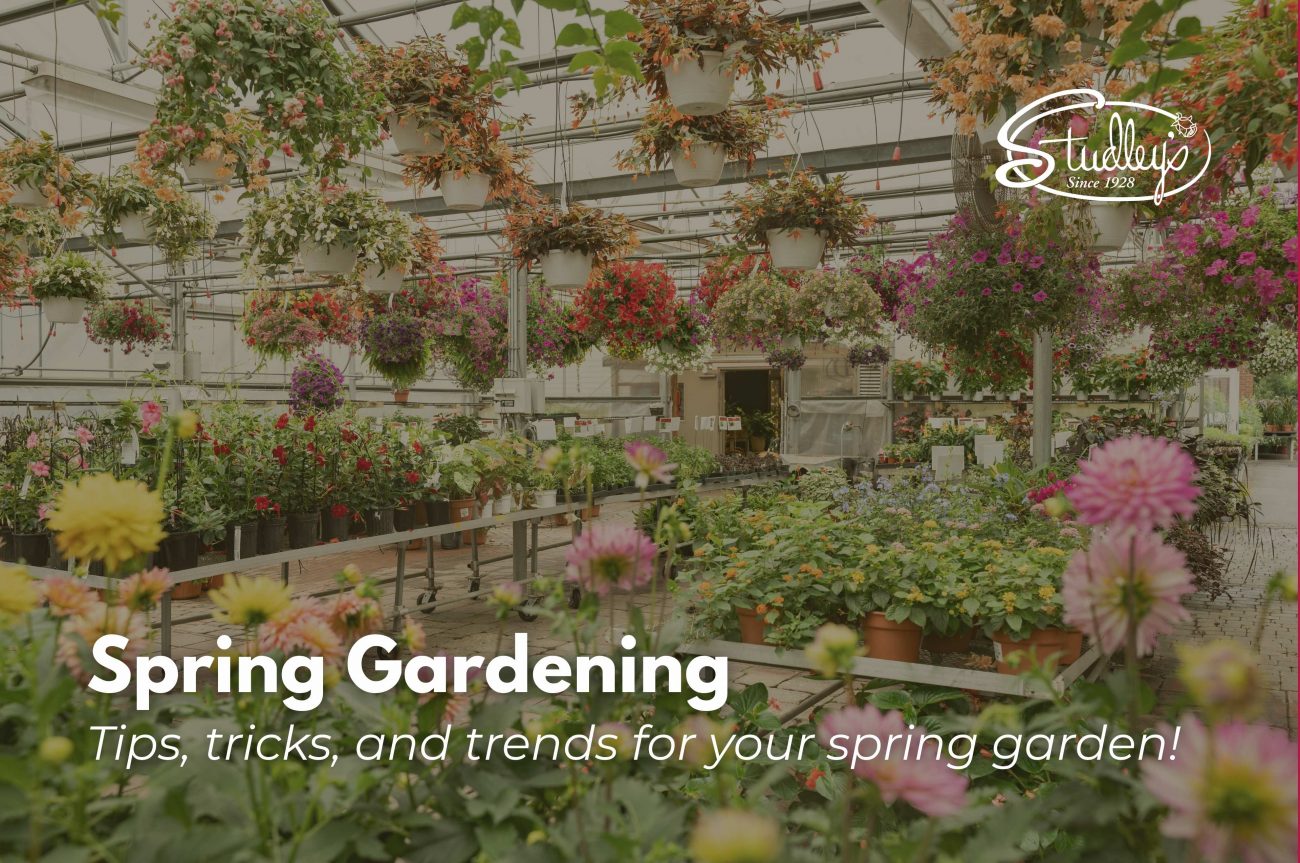 Time to Start Planning Your Spring Garden