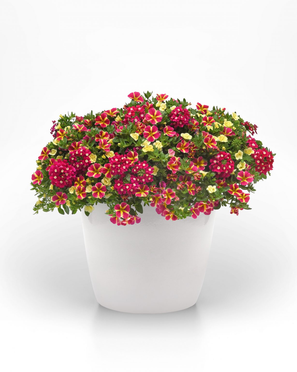 Swirling Shuffle Container Garden