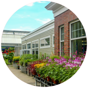 tour outdoor view of plants at Studley Flower Gardens
