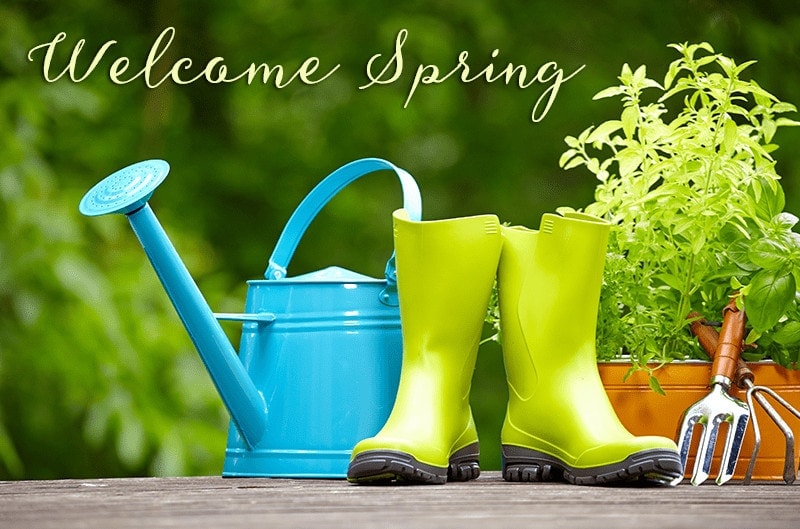 welcome spring garden maintenance boots, plants and tools