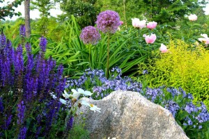 Perennial Garden Blue Flowers