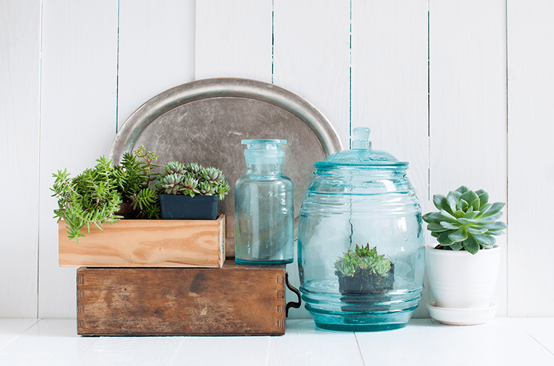 succulents wooden box blue jars