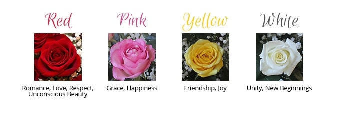 meaning of flowers rose colors