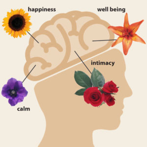 flowers mind diagram happiness well being intimacy calm