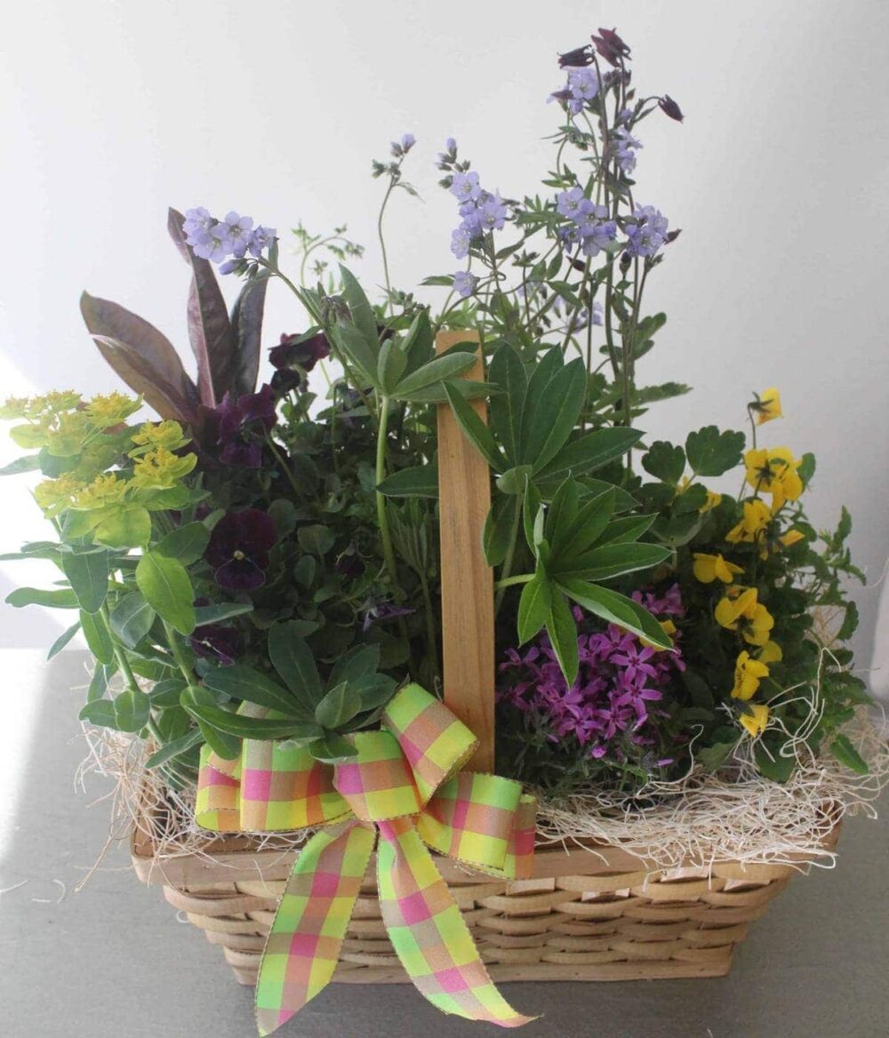 Perennial Garden Basket by Studley's