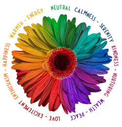 flower color meaning mood wheel