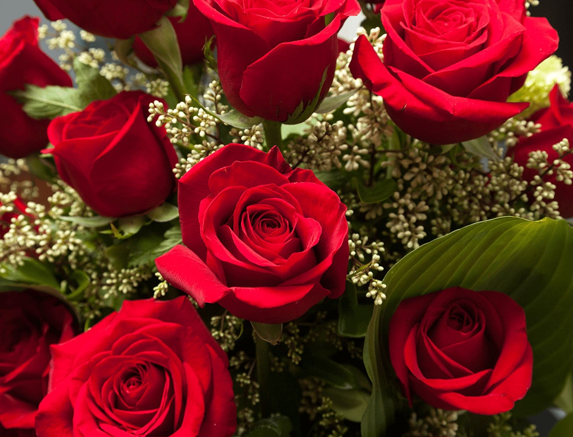 valentine's day flowers red rose bouquet