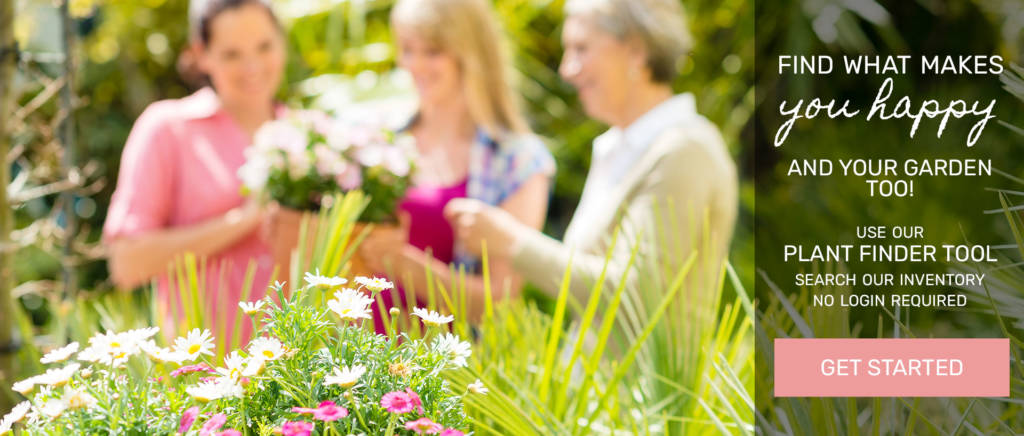 happy women in garden center looking at plants