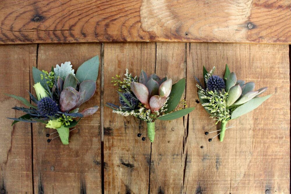 Succulent Boutonniere