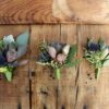 Succulent Boutonniere