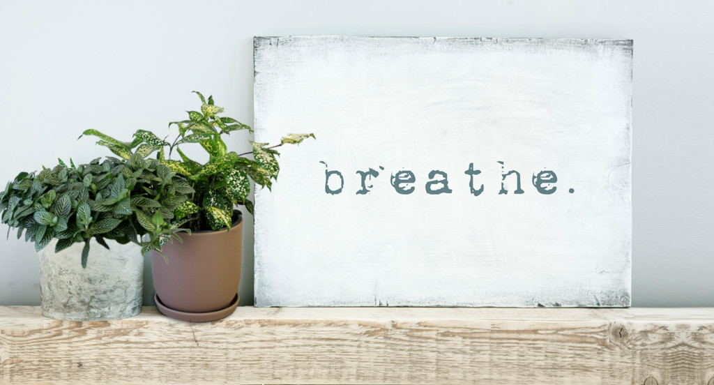 house plants with breathe sign