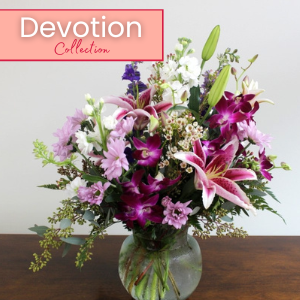 Devotion Collection
