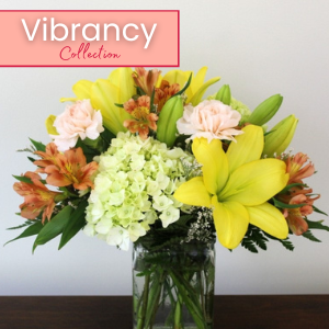 Vibrancy Collection