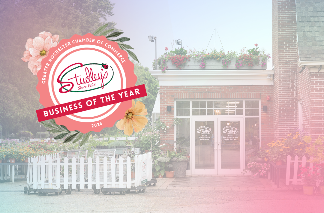 Business of the Year