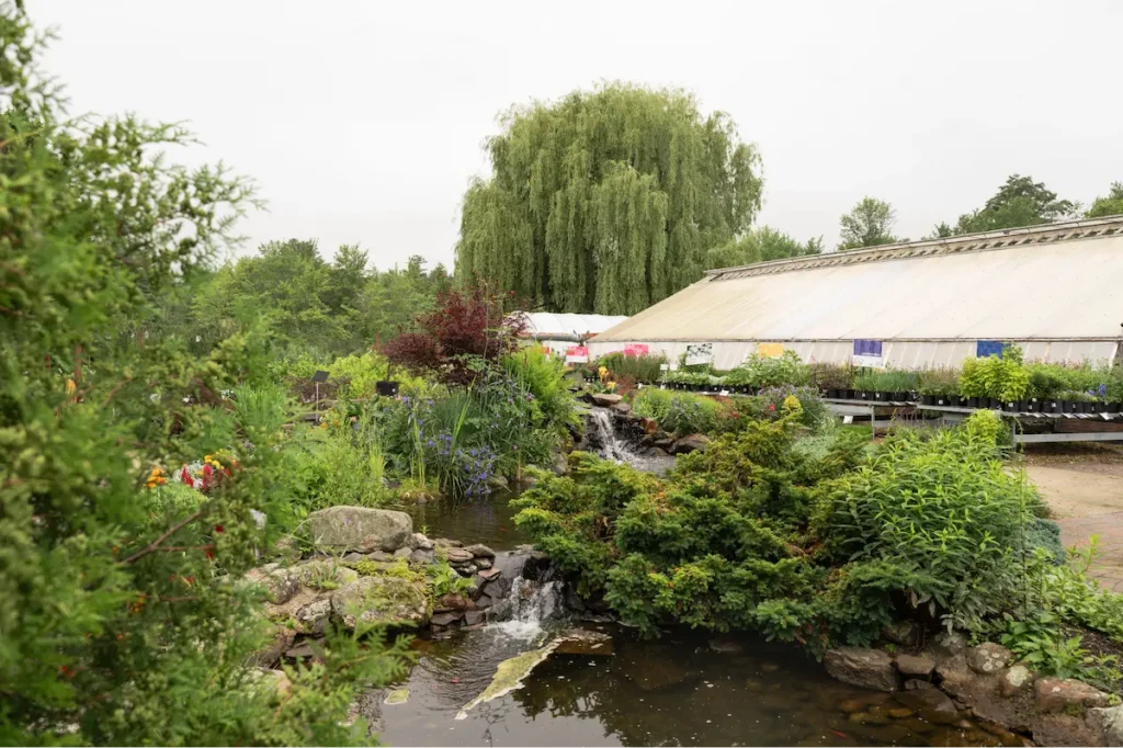 Landscape services from Studley's