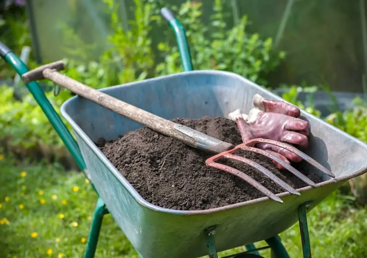 A wheelbarrow in a lawn with a pitchfork