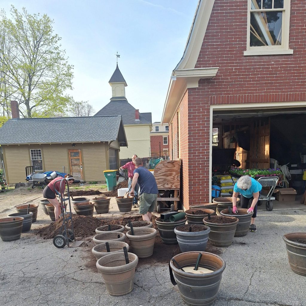 Studley's is proud to support Rochester Mainstreet for downtown barrel plantings