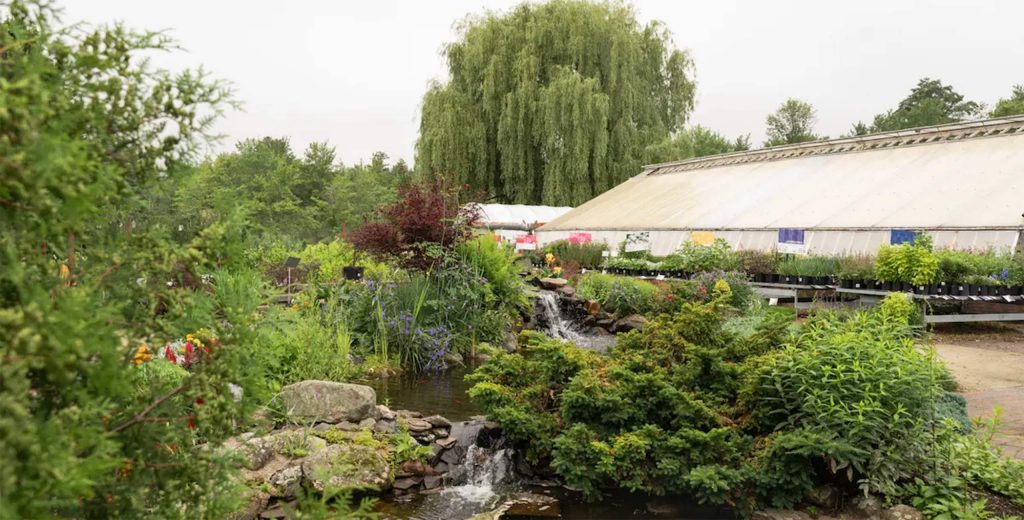 Tranquil garden center at Studley’s Flower Gardens with bubbling water feature and lush greenery