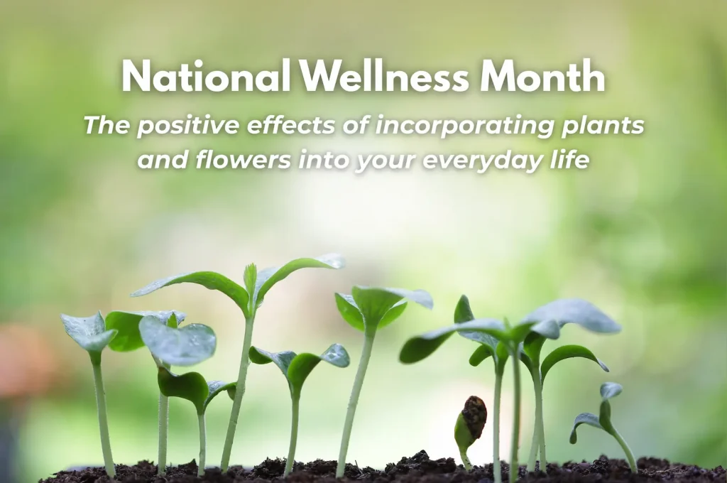 Celebrate National Wellness Month with Plants and Flowers from Studely's