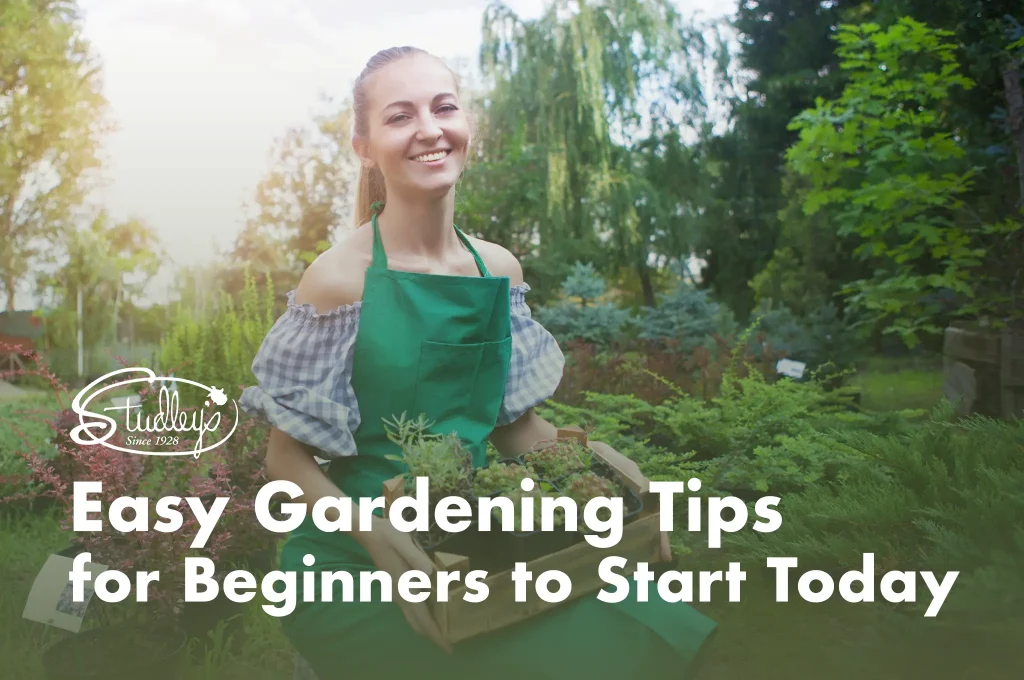 Easy Gardening Tips for Beginners to Start Today