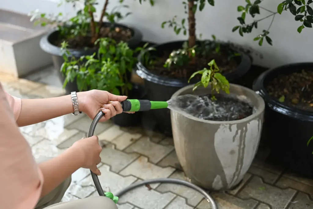 Cropped shot woman holding garden hose watering plants in the morning.