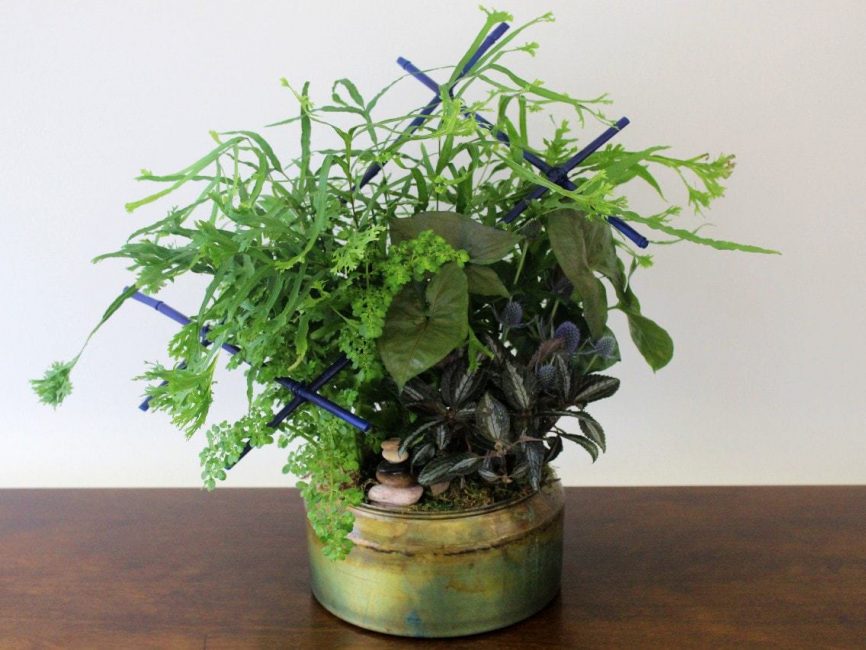 The Capricorn Bouquet by Studley's