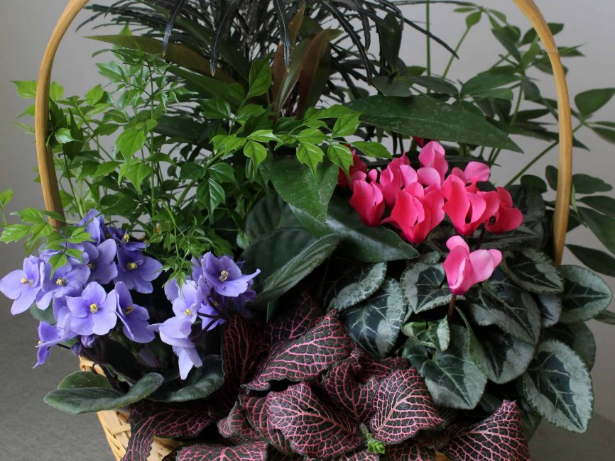 European Garden by Studley's