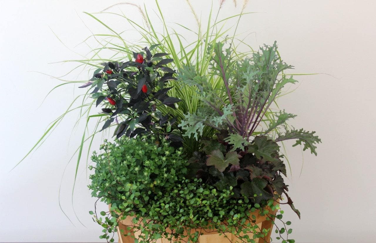 Fall planter with autumn blooms and mixed textures by Studley Flower Gardens