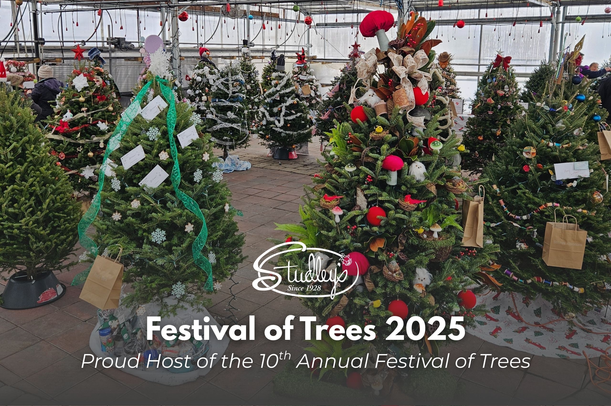 Studley's Hosts 10th Annual Festival of Trees