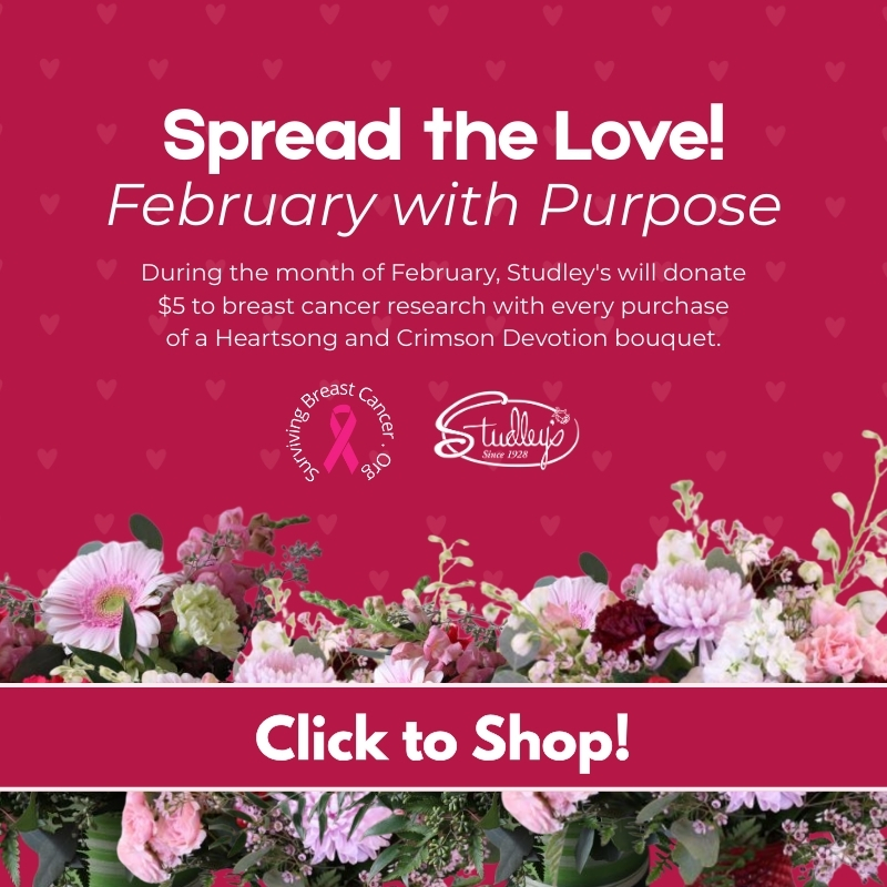 Spreading Love - Studley's Donating to Breast Cancer Research!
